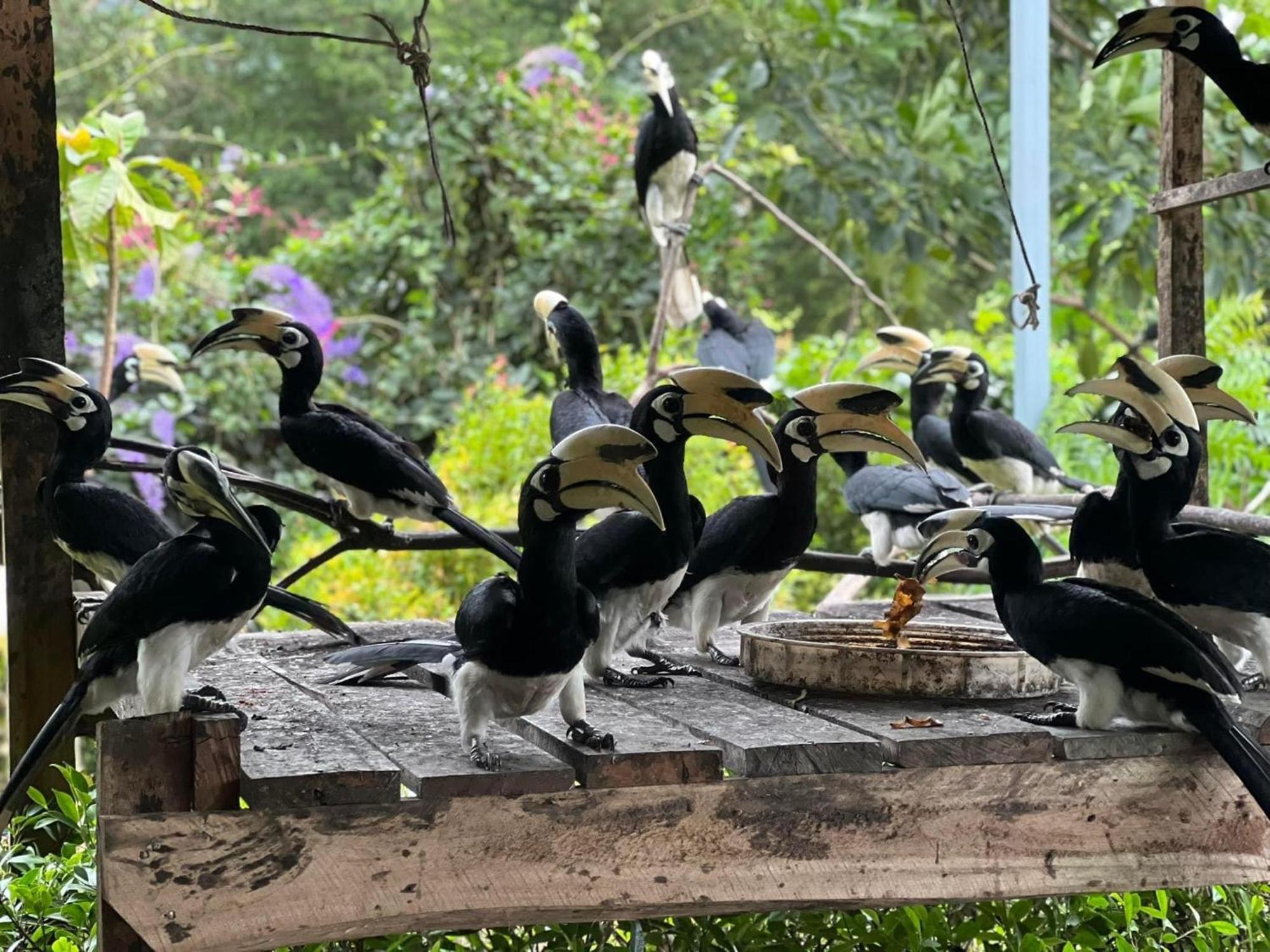 Baan Plai Laem Homestay Koh Phaluai Exterior foto