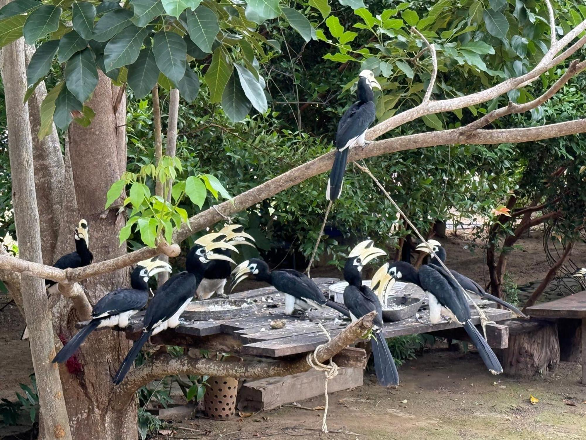 Baan Plai Laem Homestay Koh Phaluai Exterior foto